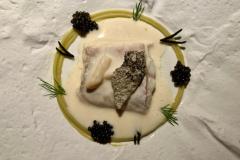 WhatsApp-Image-2024-02-12-at-15.54.15