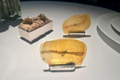 Aceituna negra cacereña, lino y amaranto // Patata con queso de Los Ibores y eneldo Aceituna negra cacereña, lino y amaranto // Patata con queso de Los Ibores y eneldo