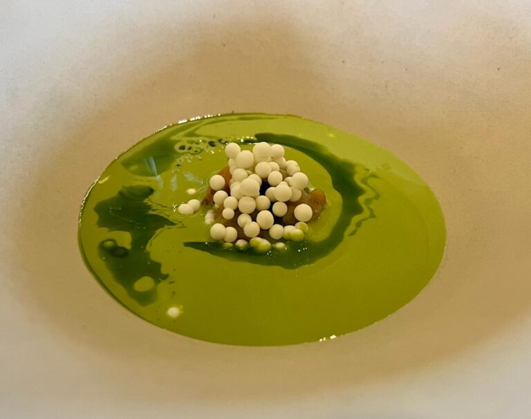 Aponiente